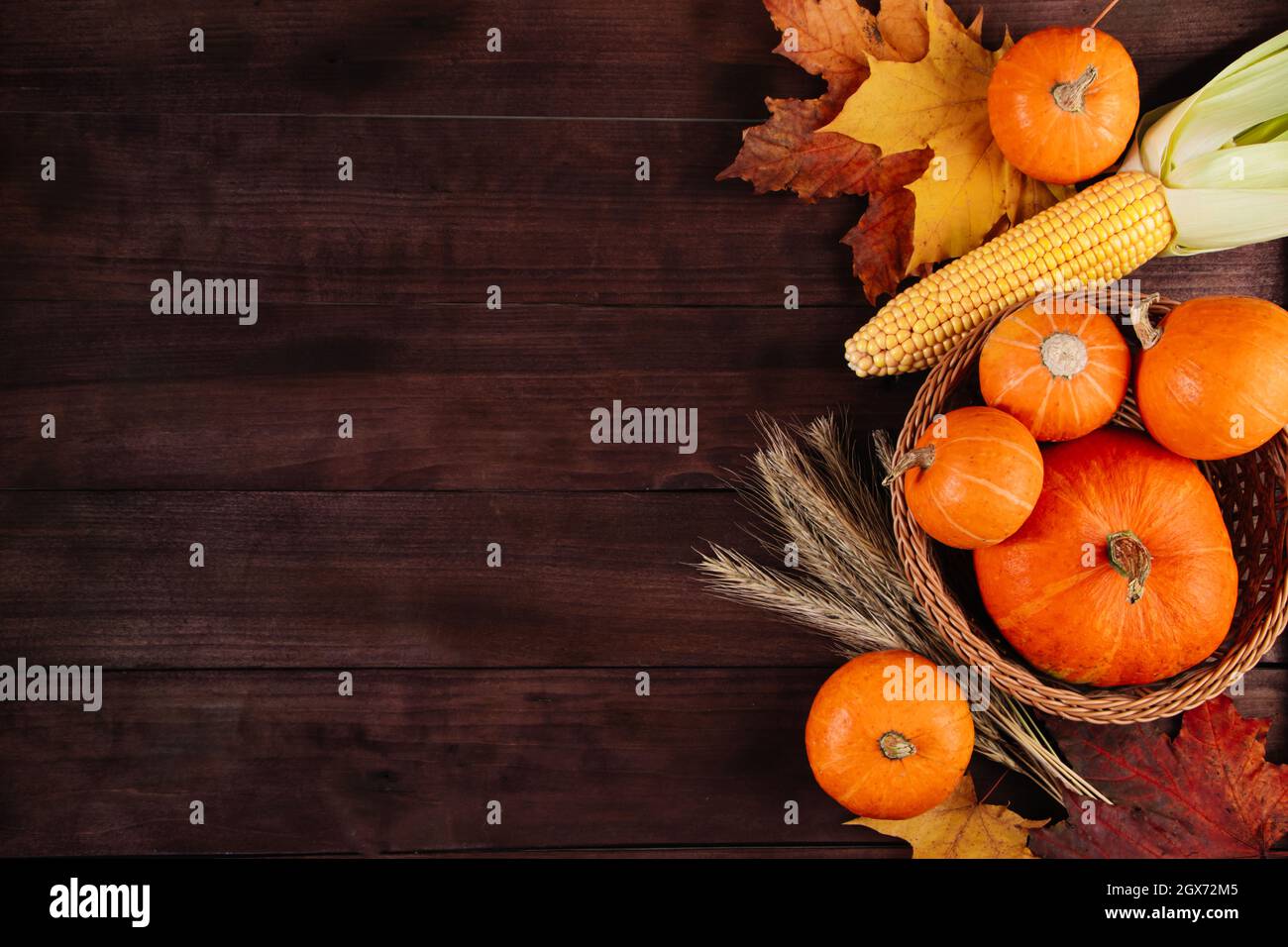 Bonne journée de Thanksgiving. Citrouilles mûres d'orange, blé et maïs sur fond de bois brun. Banque D'Images