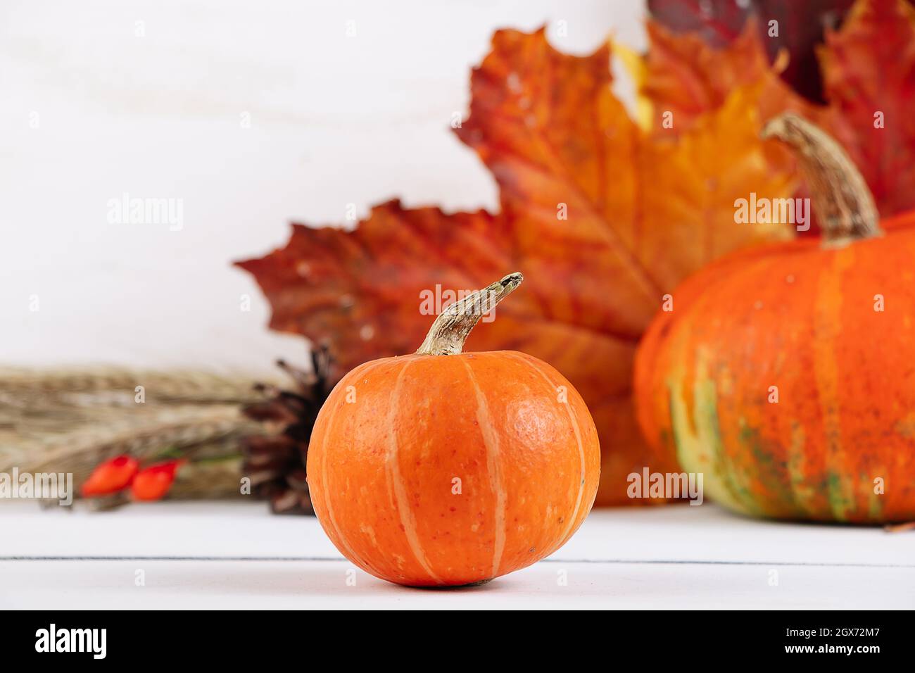 Citrouilles mûres d'orange et feuilles d'érable sur fond blanc. Récolte d'automne et Thanksgiving concept. Banque D'Images