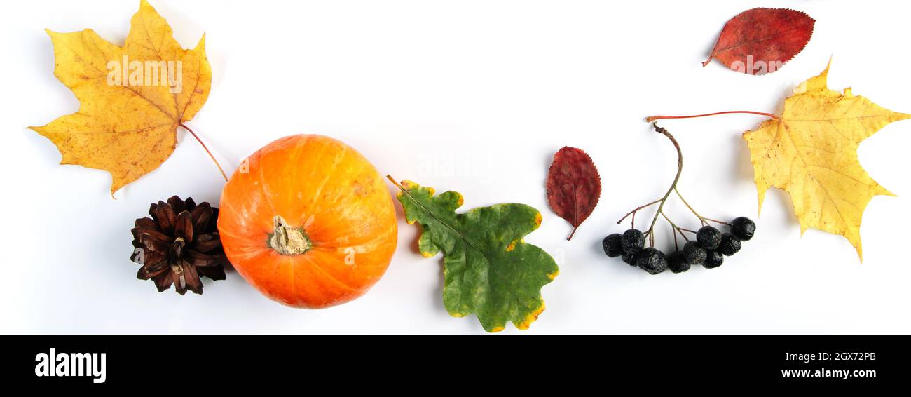 Arrière-plan d'automne des feuilles, des baies et des citrouilles. Composition saisonnière colorée sur fond blanc. Format de bannière Banque D'Images