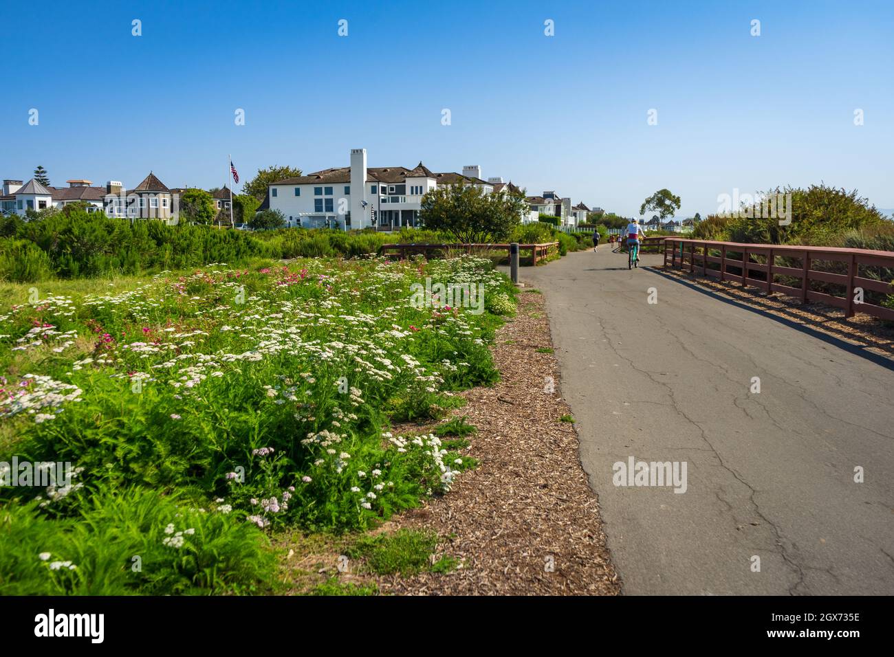 Newport Beach, Californie, États-Unis – 12 août 2021 : piste cyclable et de randonnée à côté des fleurs sauvages au parc Castaways de Newport Beach, Californie. Banque D'Images