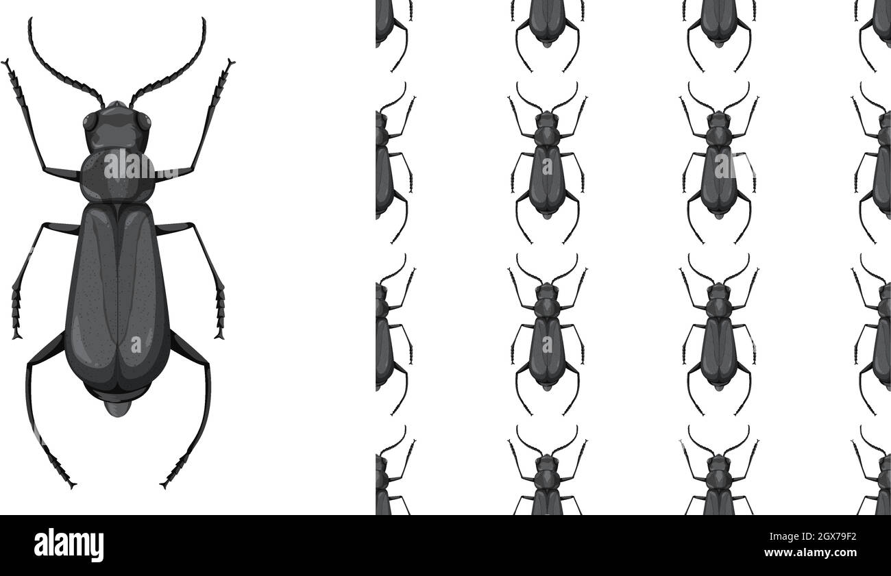 Insecte coléoptère et fond sans couture Illustration de Vecteur