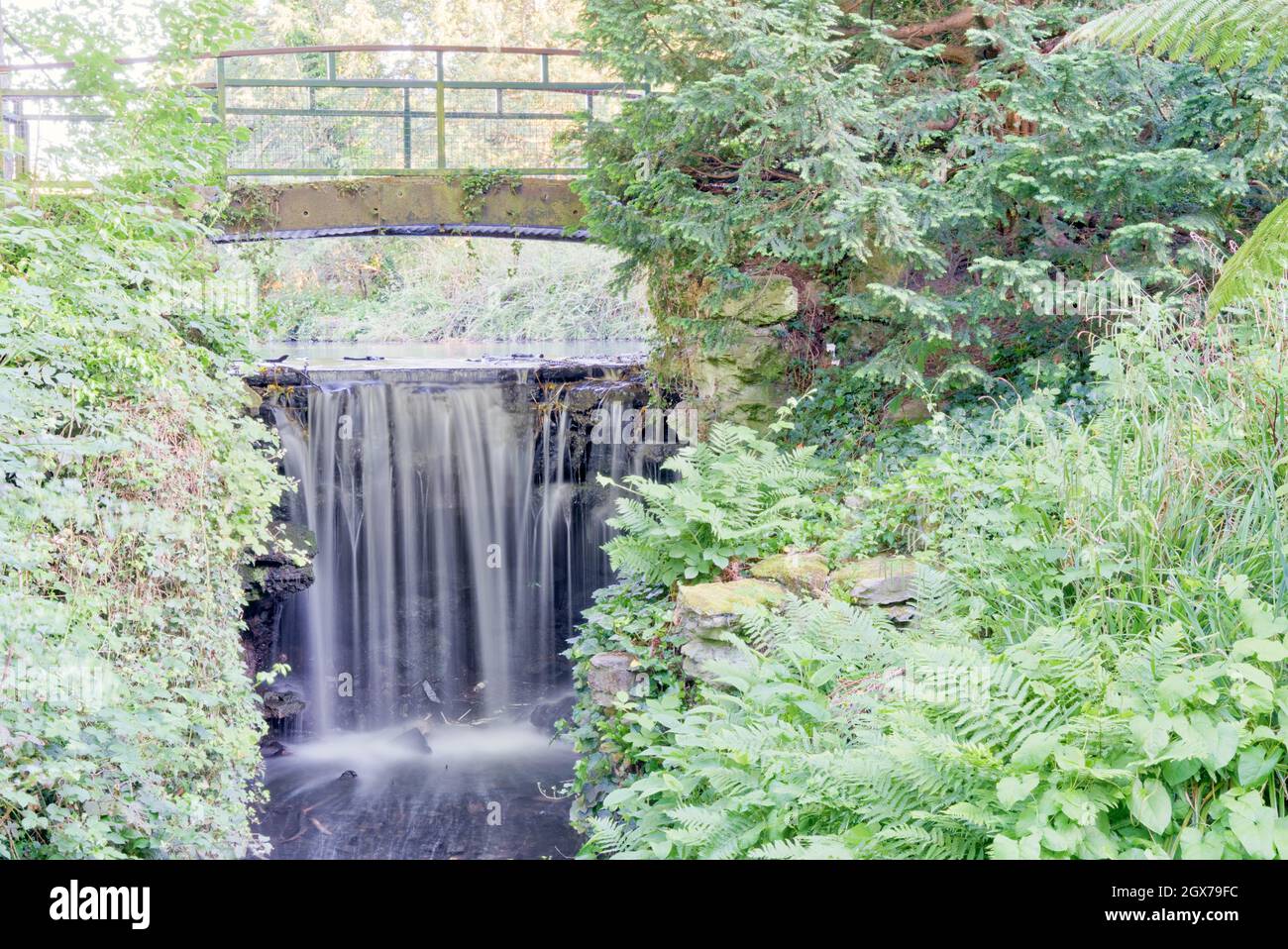 Pond, Lake , River Beck Water Fall à Kelsey Park South East London Angleterre Royaume-Uni Banque D'Images