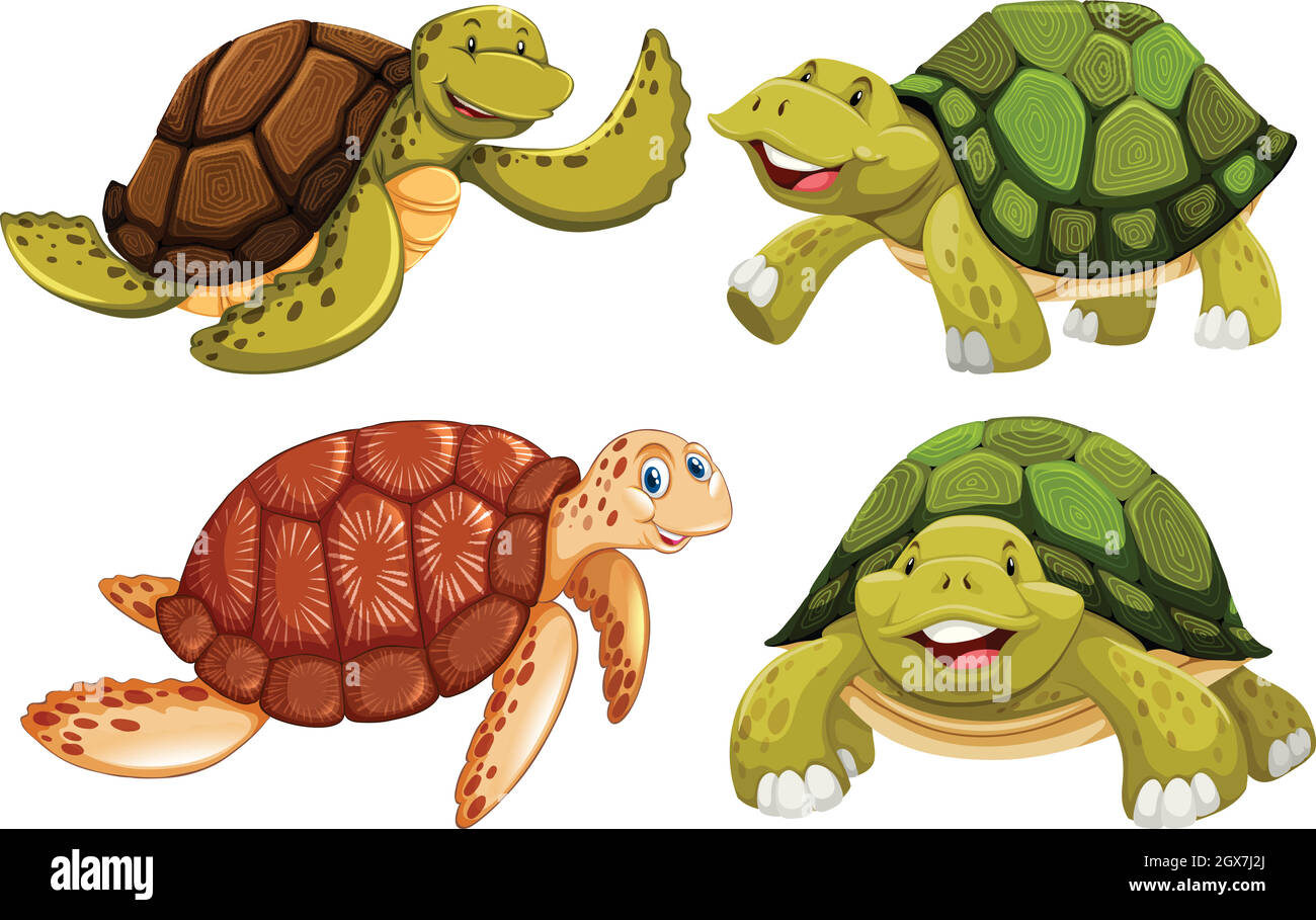 Un ensemble de tortues de mer Illustration de Vecteur