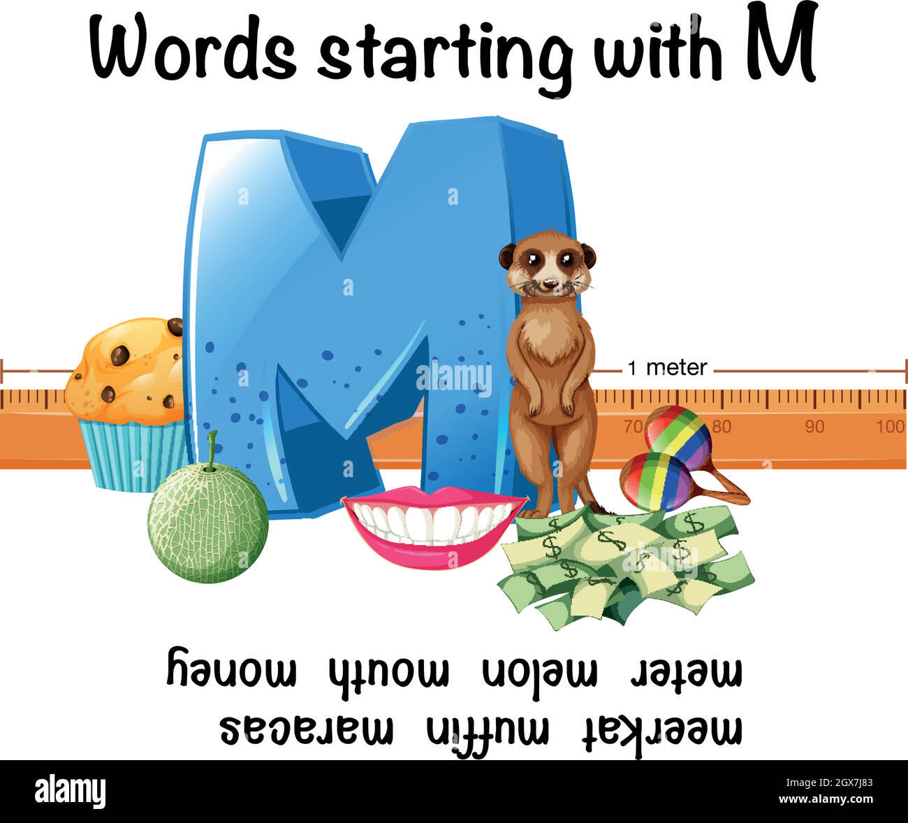 Mots anglais commençant par M Image Vectorielle Stock Alamy