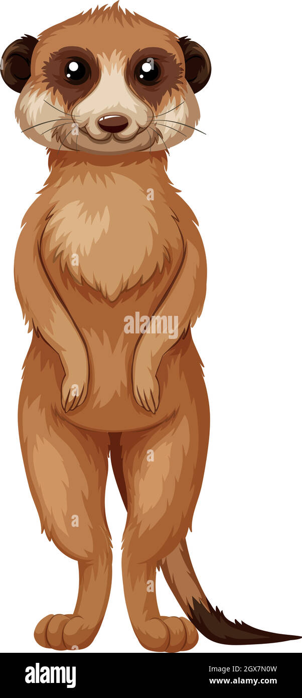 Meerkat avec fourrure brune debout Illustration de Vecteur
