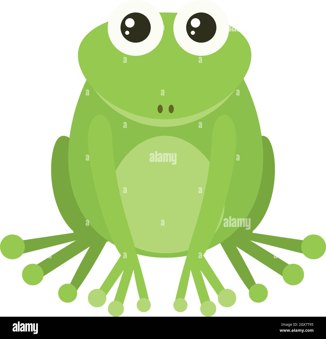 Grenouille verte sur fond blanc Illustration de Vecteur