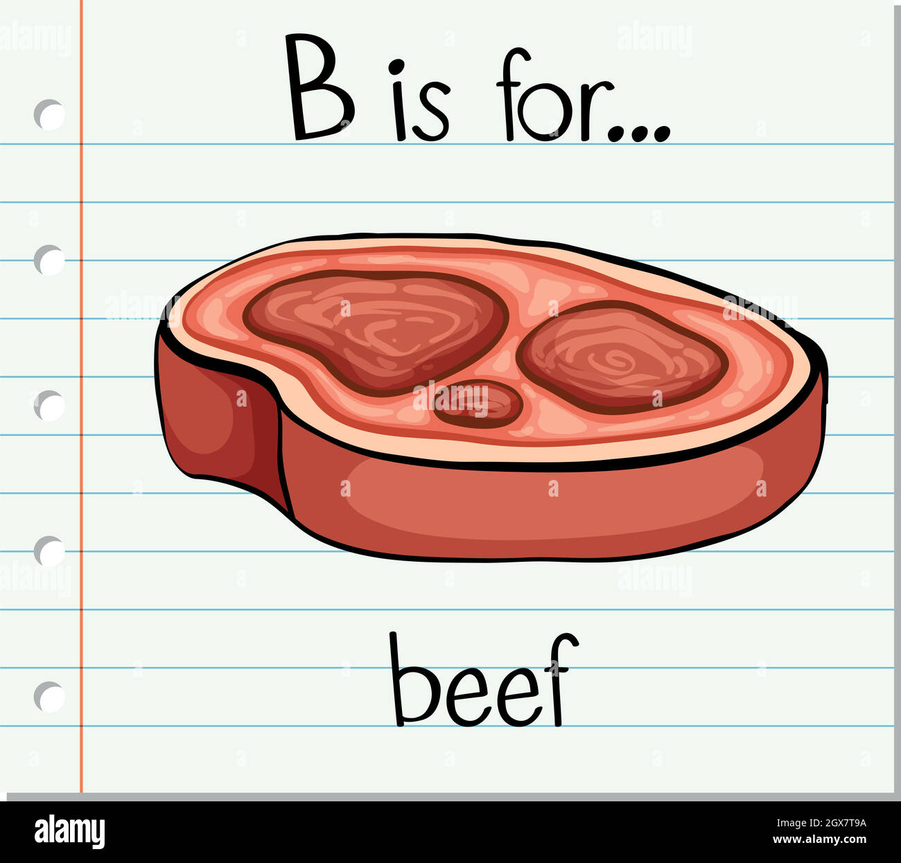 L'alphabet de flashcard B est destiné au bœuf Illustration de Vecteur