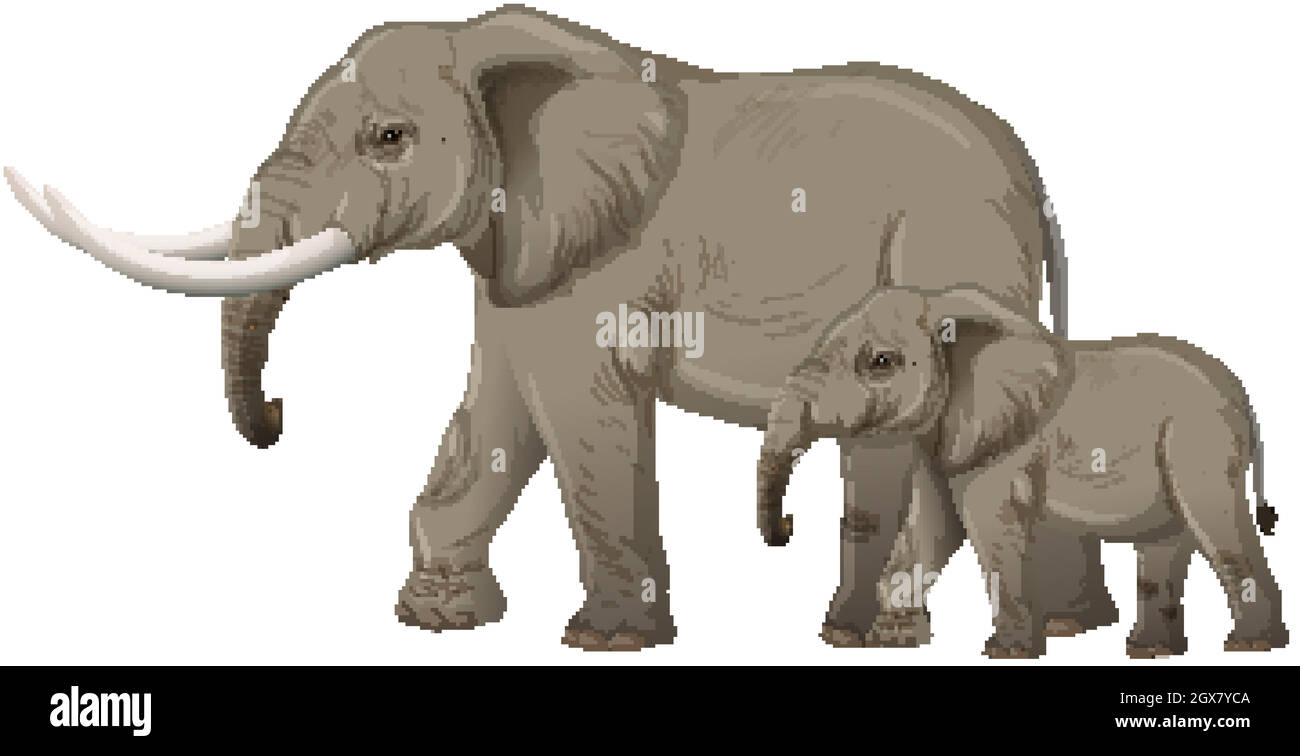 Éléphant adulte avec un jeune éléphant de style dessin animé sur fond