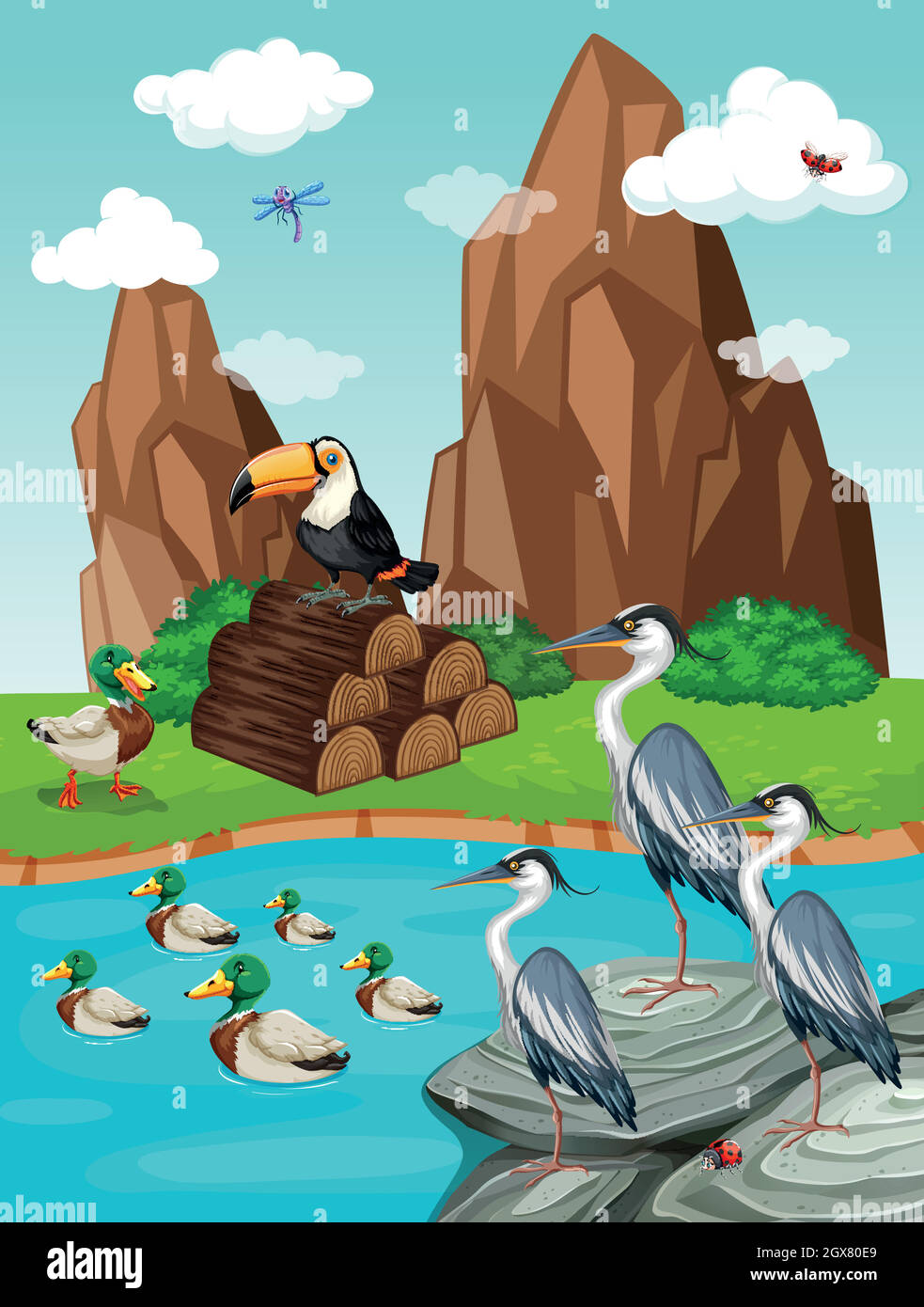 Oiseaux et canards au bord de l'étang Illustration de Vecteur