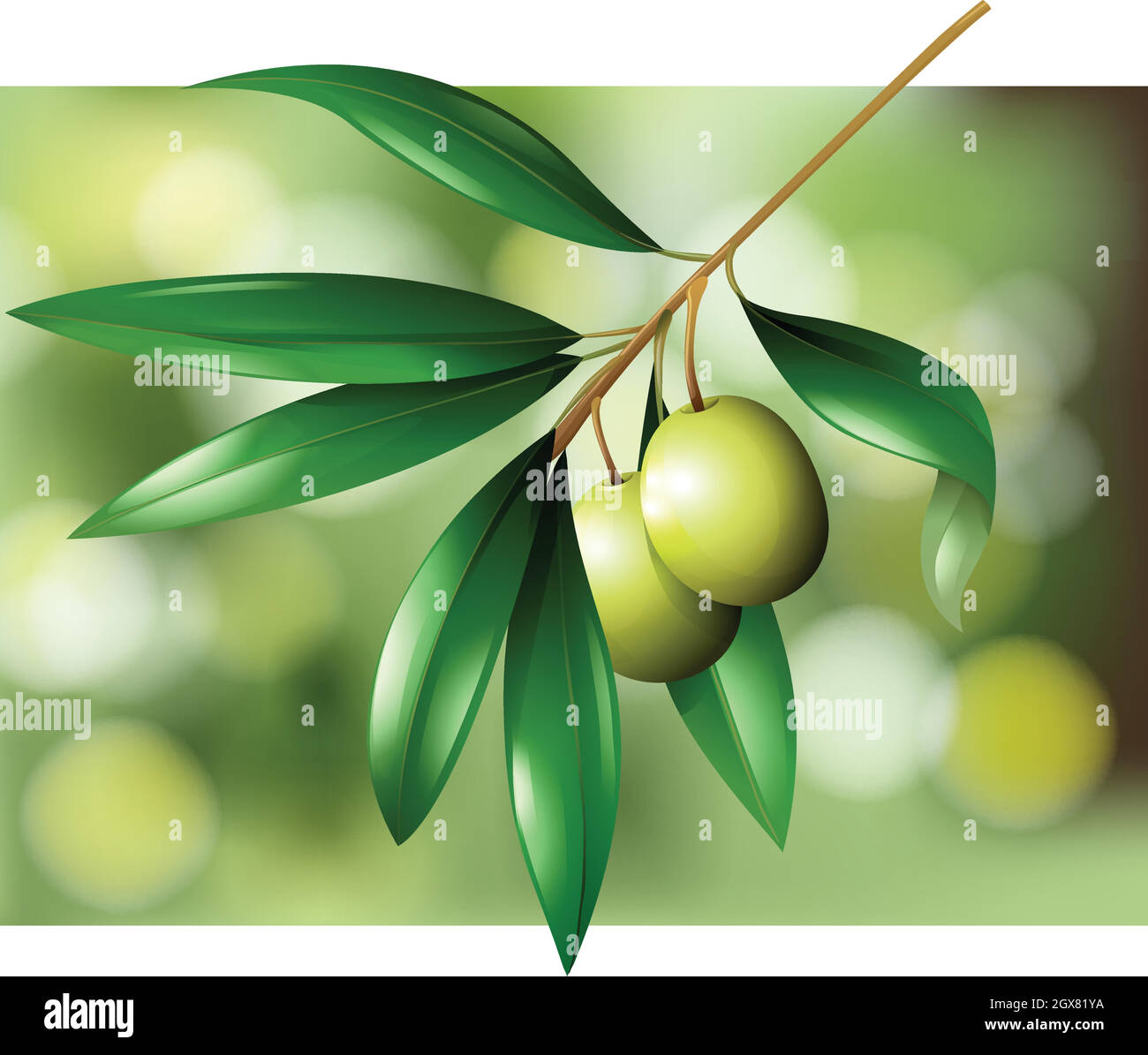 Olives sur une scène de branche Illustration de Vecteur