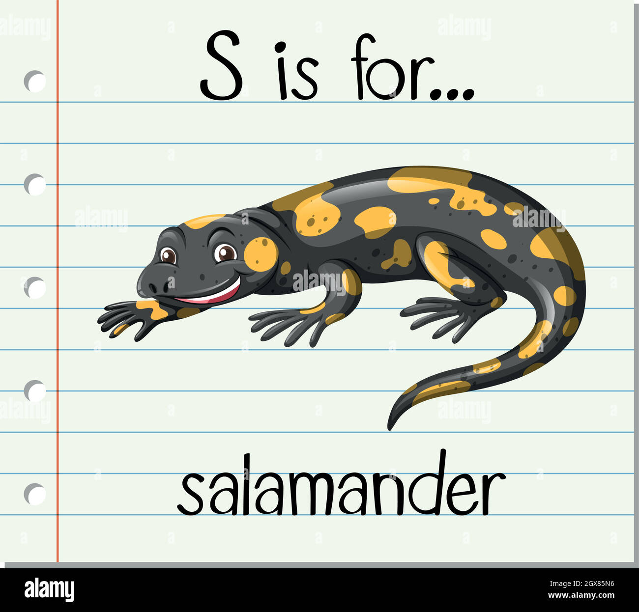 La lettre S de la carte mémoire est destinée à la salamandre Illustration de Vecteur