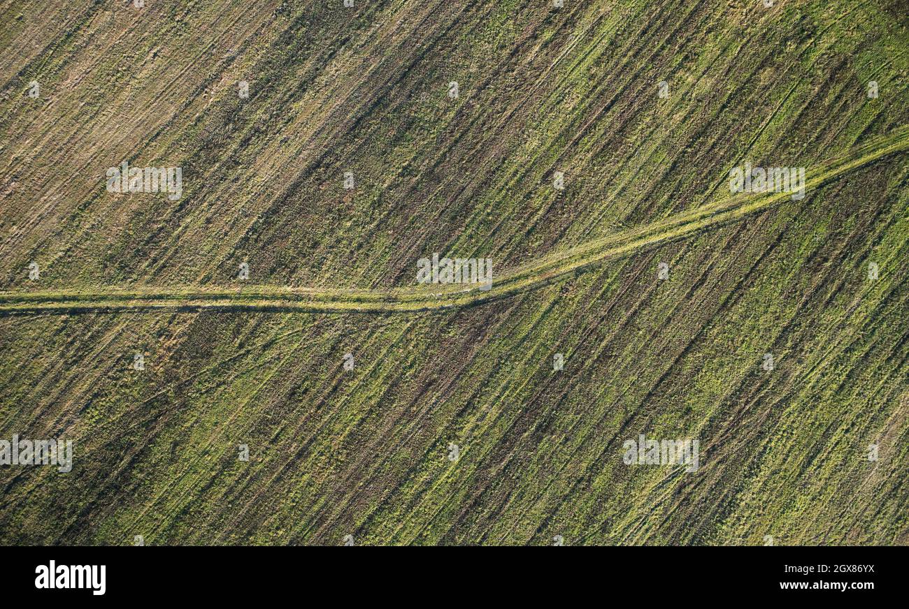 Champ vert avec une route au-dessus de la vue de dessus de drone Banque D'Images