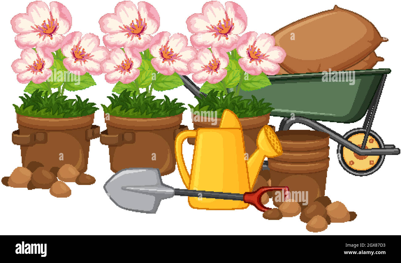 Belle fleur en pots d'argile sur fond blanc Illustration de Vecteur