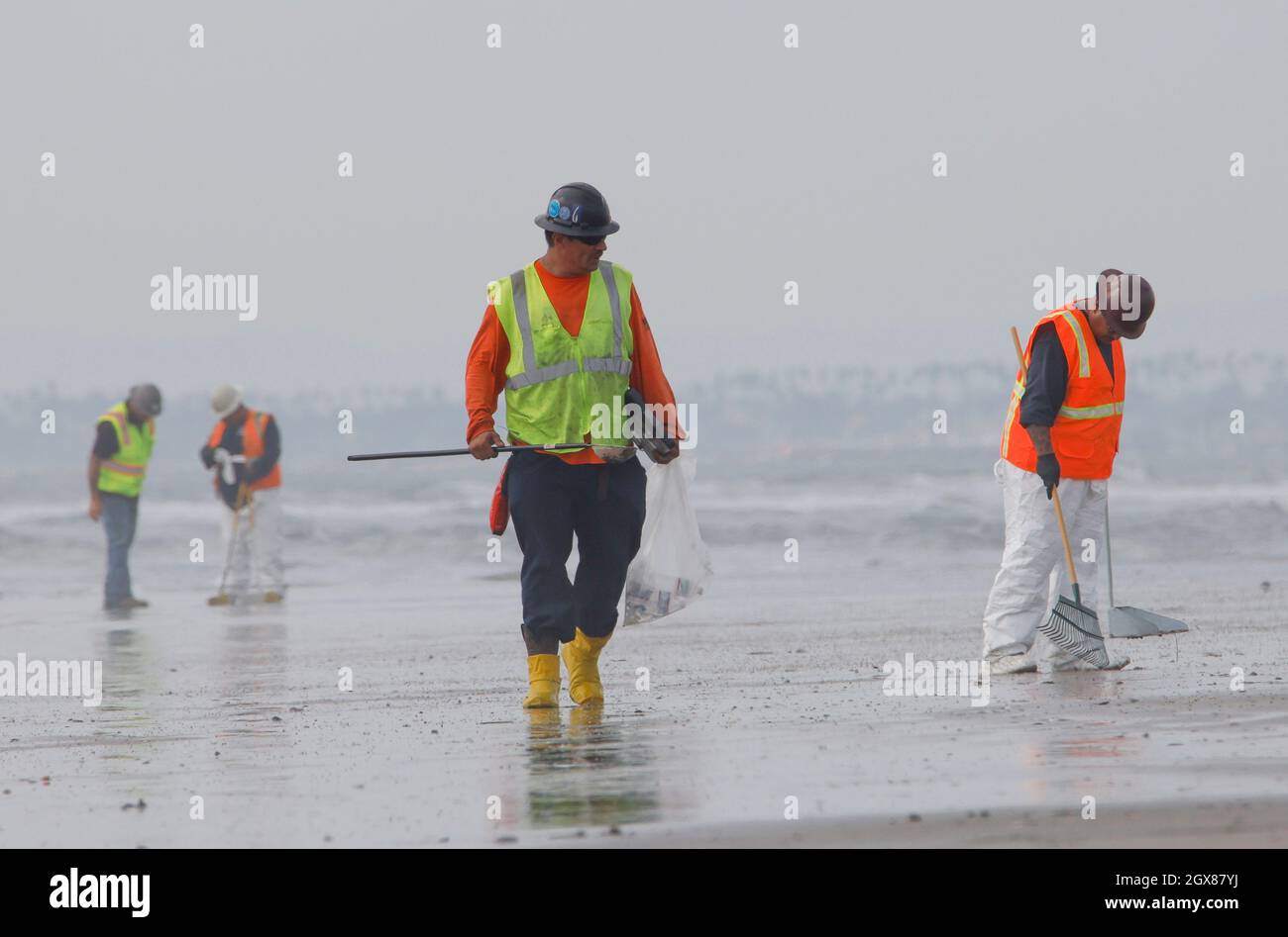 Huntington Beach, Californie, États-Unis. 4 octobre 2021. Les bénévoles de l'environnement continuent de nettoyer l'huile et les résidus qui ont lavé le minerai de terre à la plage d'État de Bolsa Chica. Le déversement d'hydrocarbures a entraîné la fermeture de la plage le long d'un tronçon de vingt kilomètres du comté d'Orange. (Image de crédit : © Ron Lyon/ZUMA Press Wire) Banque D'Images