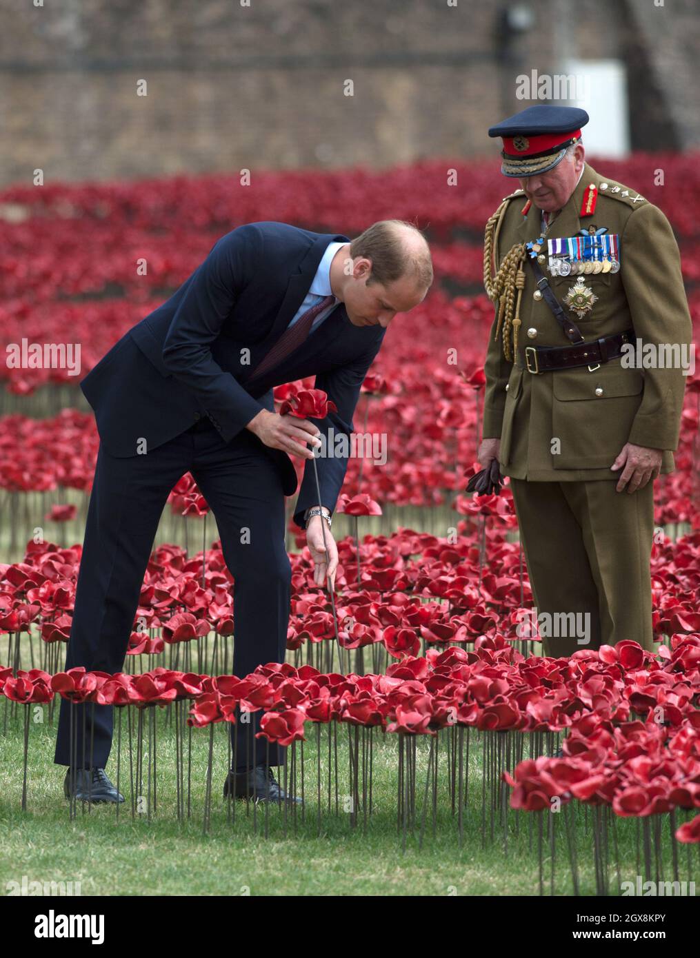 Le Prince William, duc de Cambridge et le général Lord Dannatt, gendarme de la Tour de Londres, visitent l'installation du coquelicot en céramique de la Tour de Londres, « les terres balayées par le sang et les mers de Rouge » par l'artiste Paul Cummins, commémorant le 100e anniversaire du déclenchement de la première Guerre mondiale. Banque D'Images