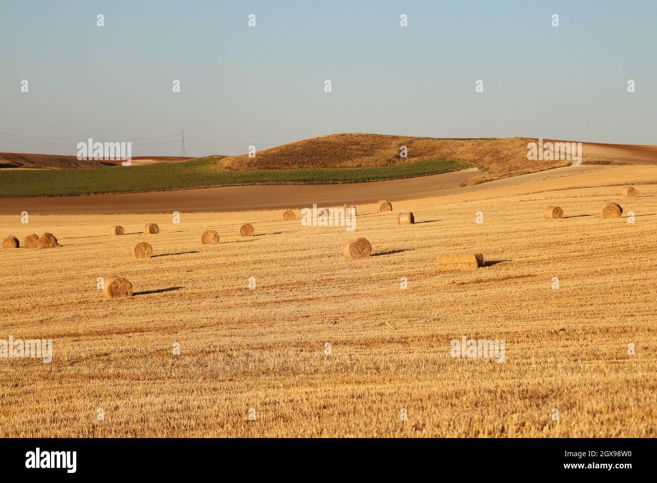 Espagnol-espagnol champ faussé de l'Espagne avec de la paille récoltée en balles Banque D'Images
