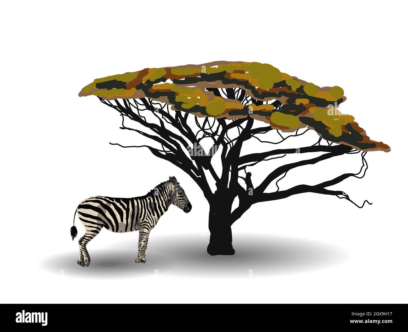 TENDANCE ETHNIQUE. PEINTURE DE STYLE AFRICAIN. zebra dans la savane. Animal africain isolé sur fond blanc. Illustration vectorielle. Banque D'Images
