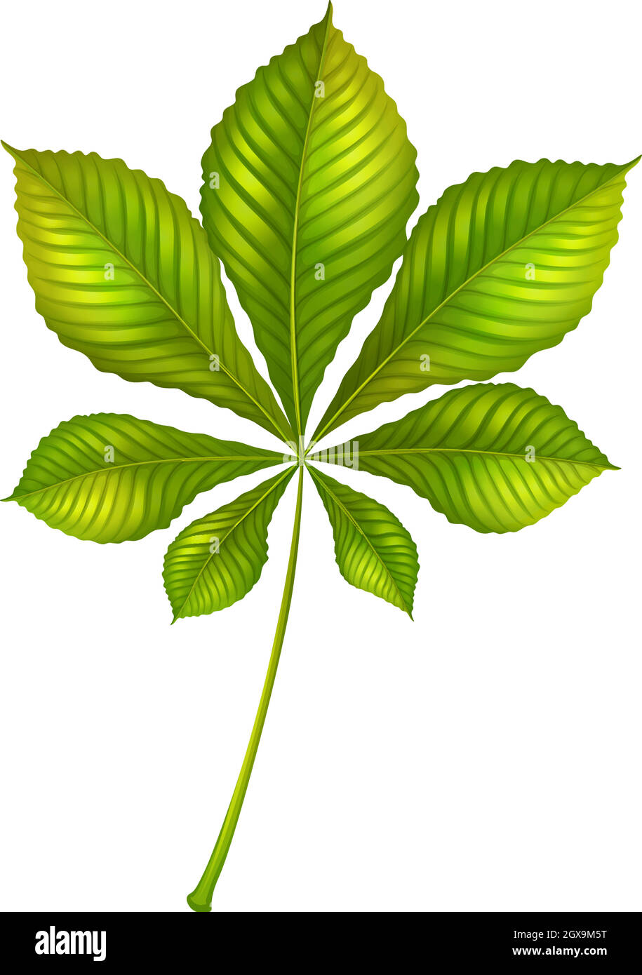 Une plante verte Illustration de Vecteur