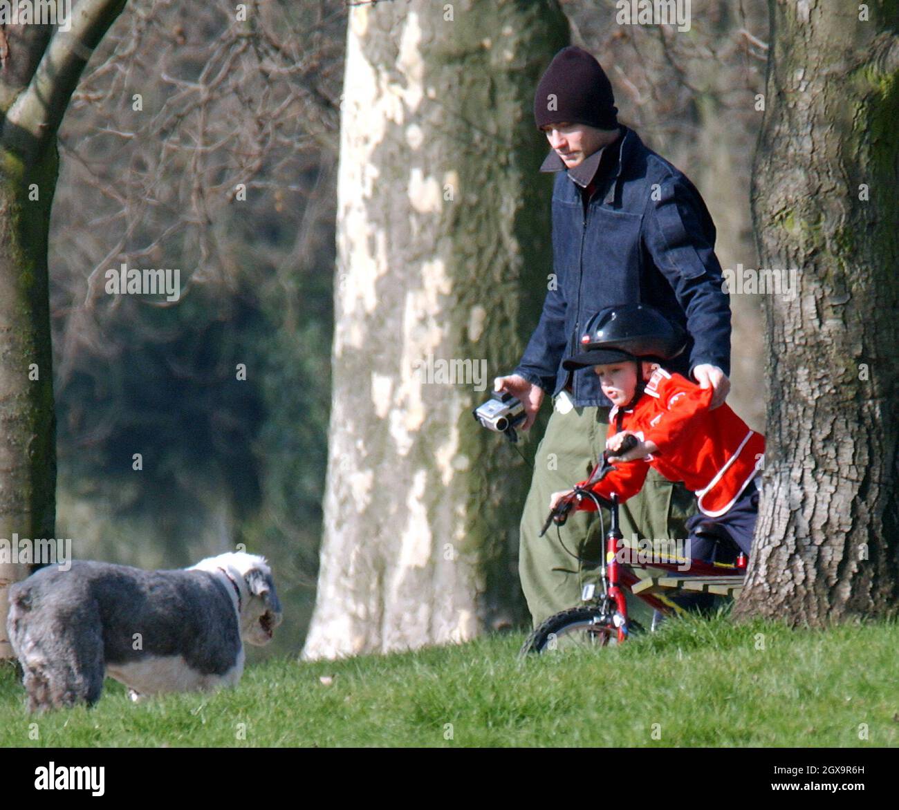 Jude Law y enseigne aux plus jeunes comment faire un vélo et Sadie avec les autres enfants jouant sur le swing et voir-vu. Banque D'Images