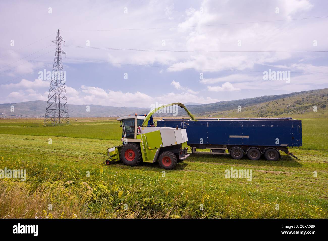 Temps de récolte - combiner la charge de la machine le grain récolté dans le bunker du chariot Banque D'Images