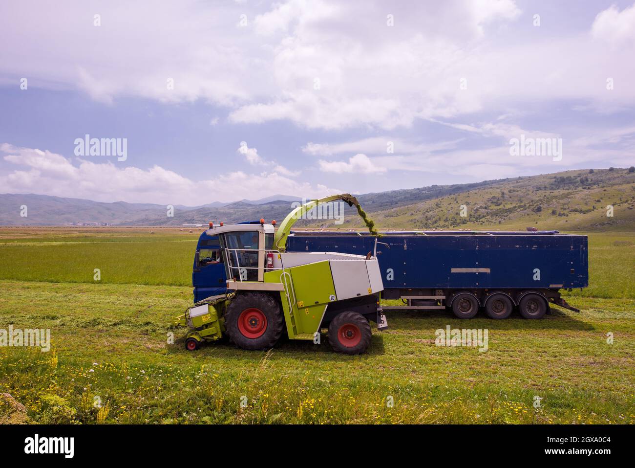 Temps de récolte - combiner la charge de la machine le grain récolté dans le bunker du chariot Banque D'Images