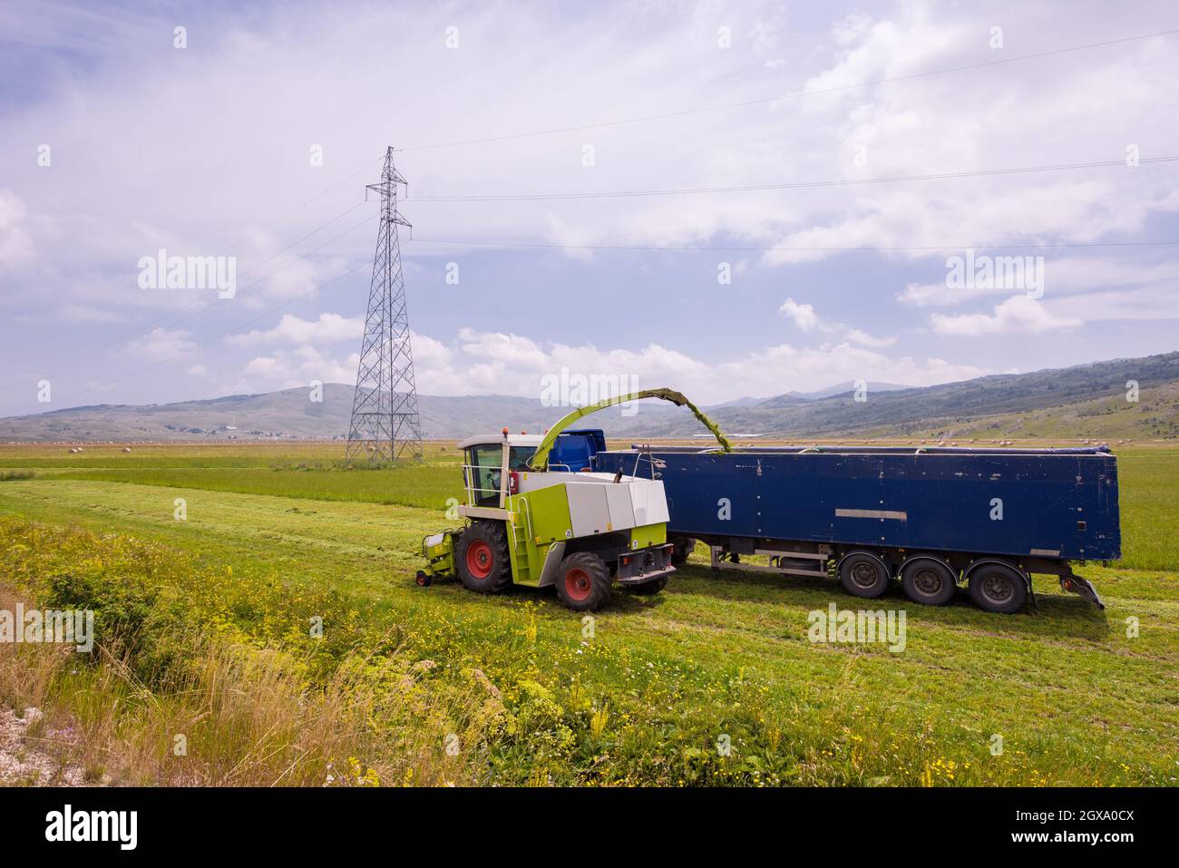 Temps de récolte - combiner la charge de la machine le grain récolté dans le bunker du chariot Banque D'Images
