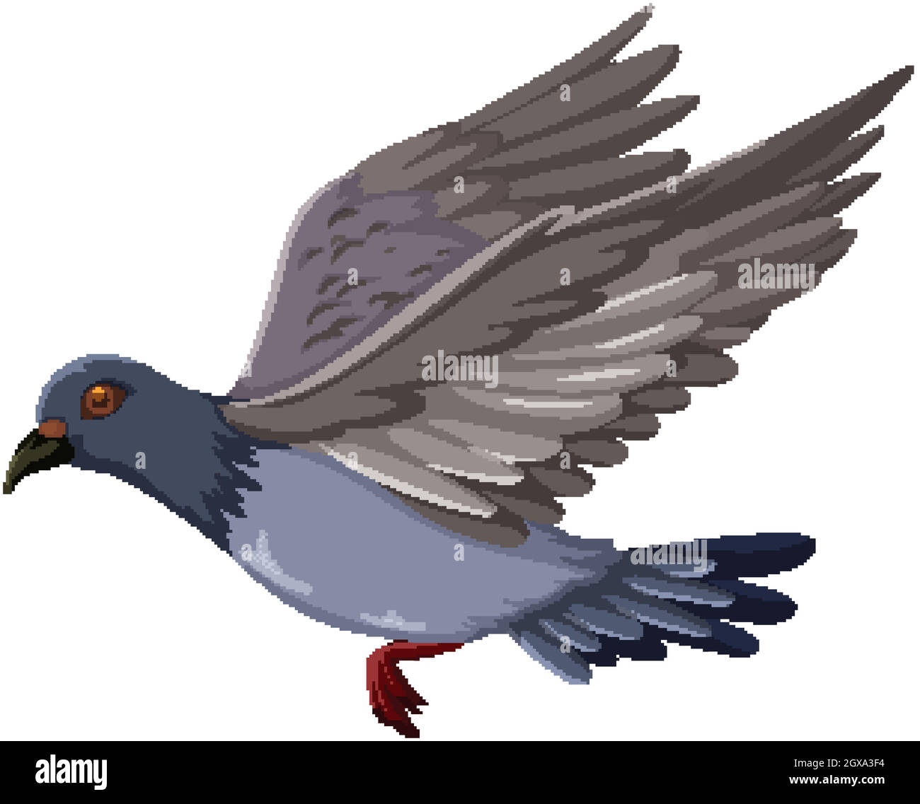 Dessin Anime En Vol D Oiseau Pigeon Isole Sur Fond Blanc Image Vectorielle Stock Alamy