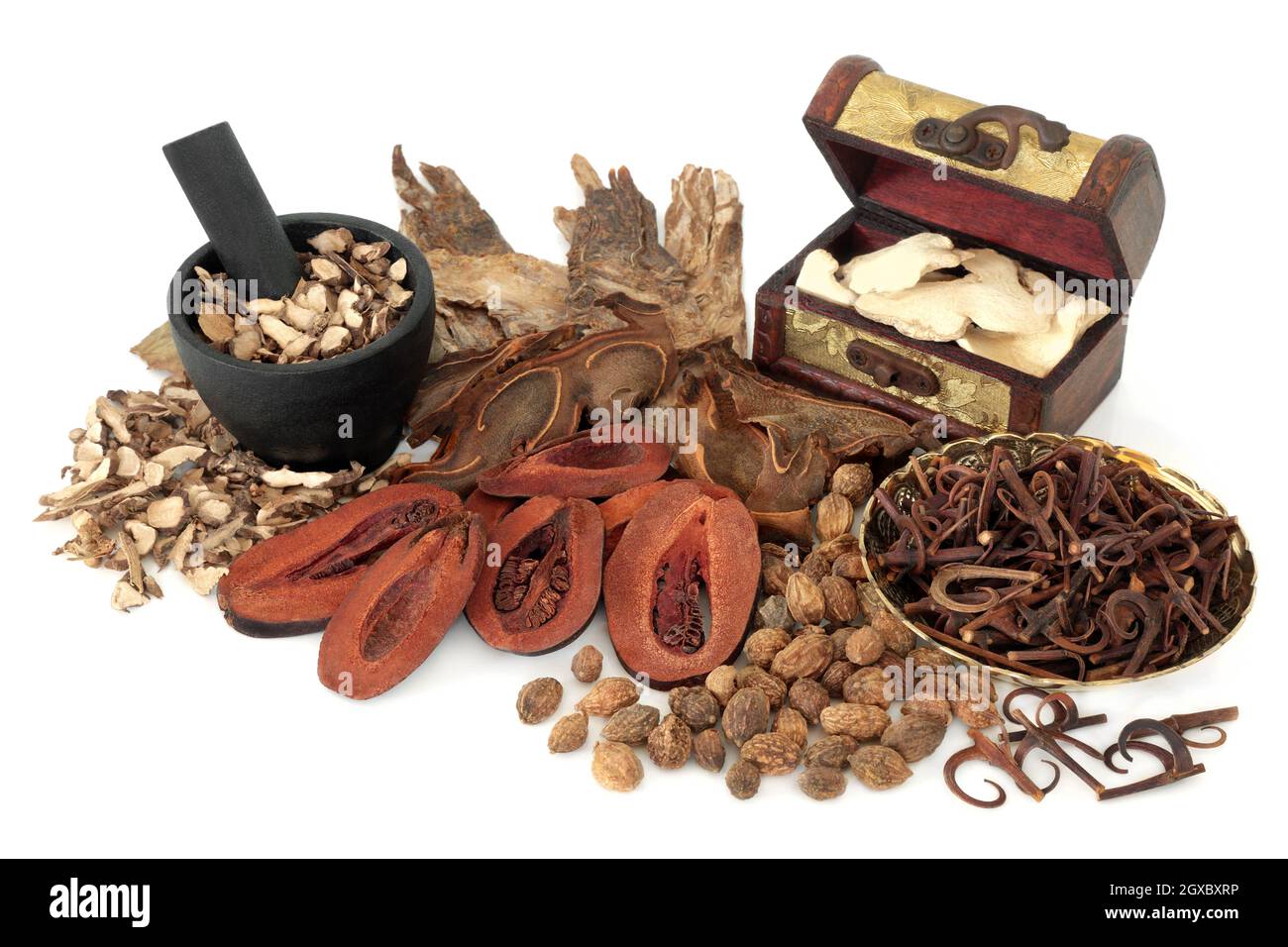 Herbes apothécaraires traditionnelles chinoises et ingrédients d'épices utilisés dans les remèdes naturels holistiques de médecine de plantes préventives curatives.Sur blanc. Banque D'Images