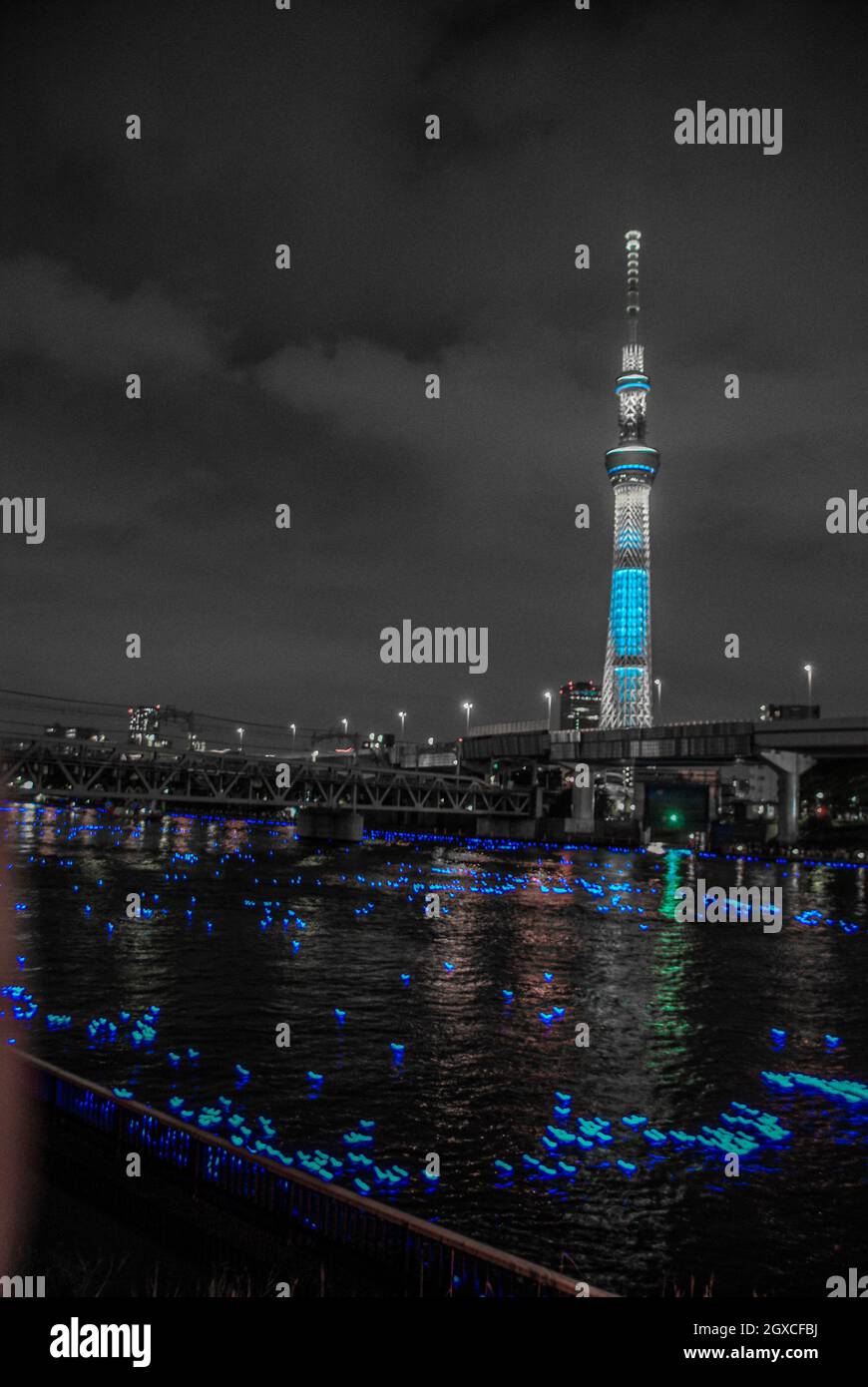 SONY DSC Banque D'Images