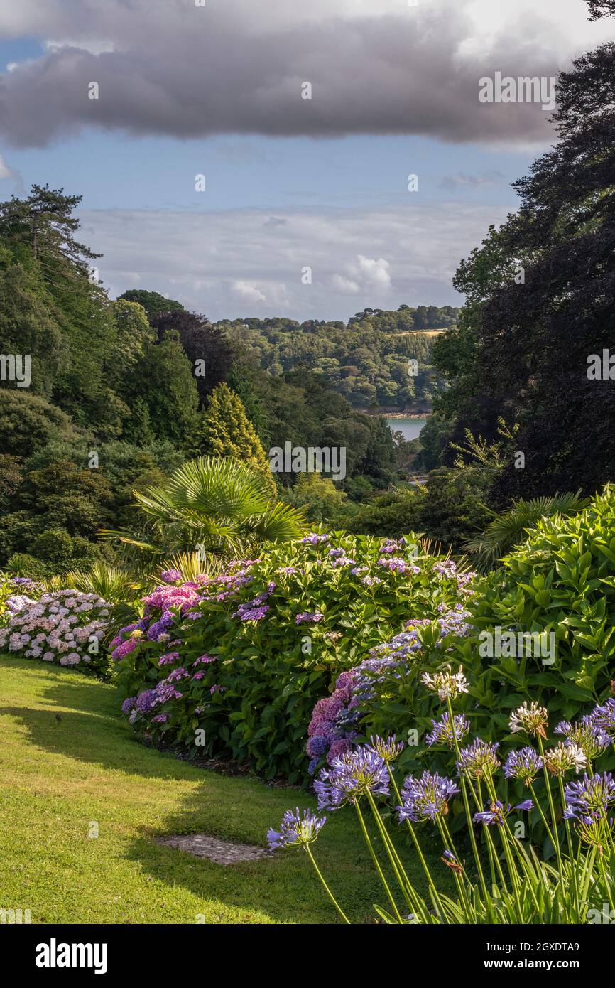 La vue spectaculaire sur les jardins de Trebah dans les Cornouailles. Banque D'Images