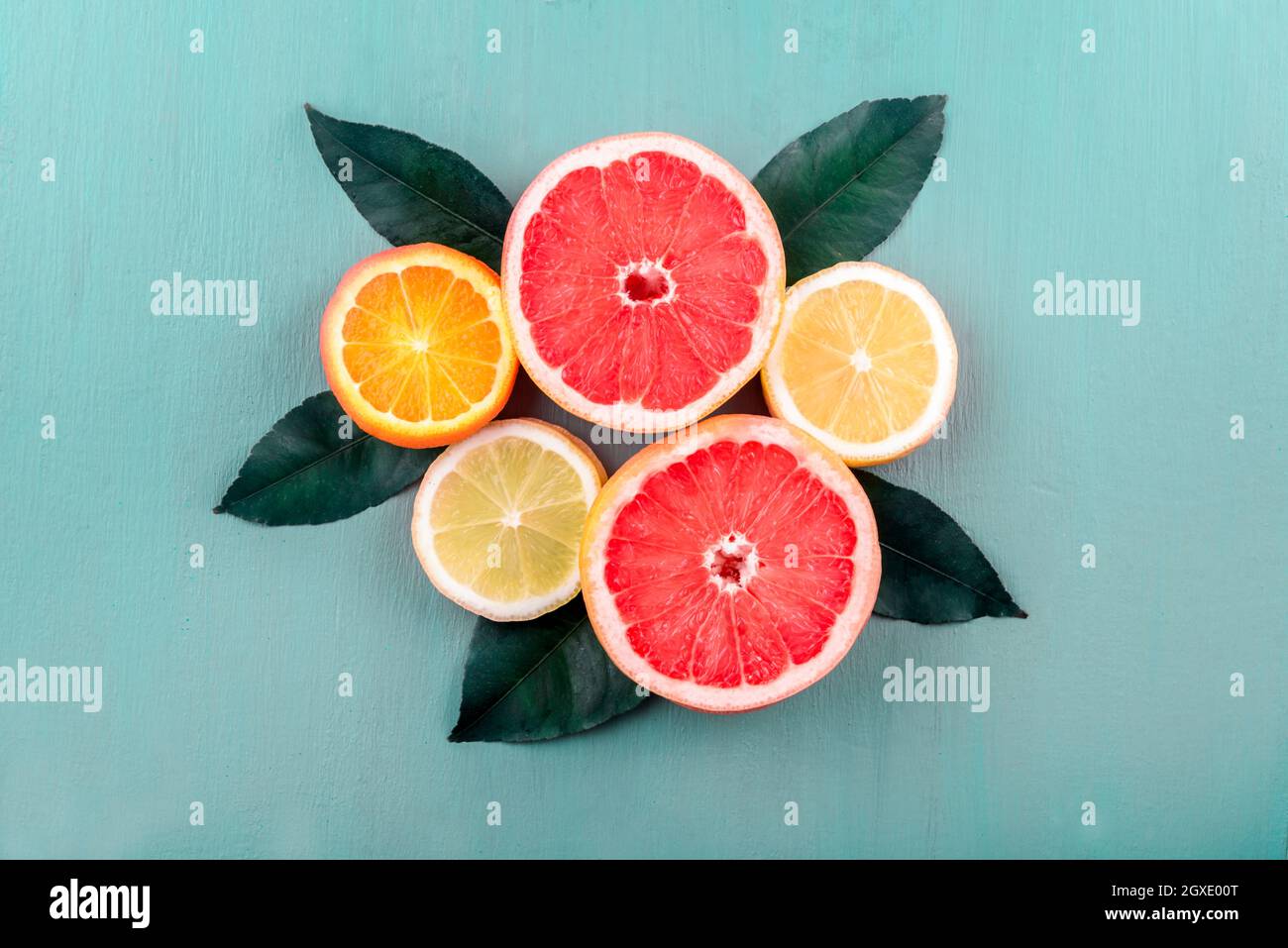 Vue de dessus de tranches de fruits colorées avec arrangement de feuilles d'agrumes. Jus tropical d'été avec citron, pamplemousse et orange sur table bleu vintage. Banque D'Images