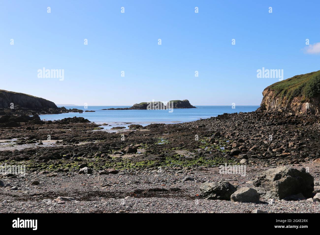 Baie de Porthlysgi, parc national, sentier côtier entre Porth Clais et St Justinien, St Davids, Pembrokeshire, pays de Galles, Royaume-Uni,Royaume-Uni, Europe Banque D'Images