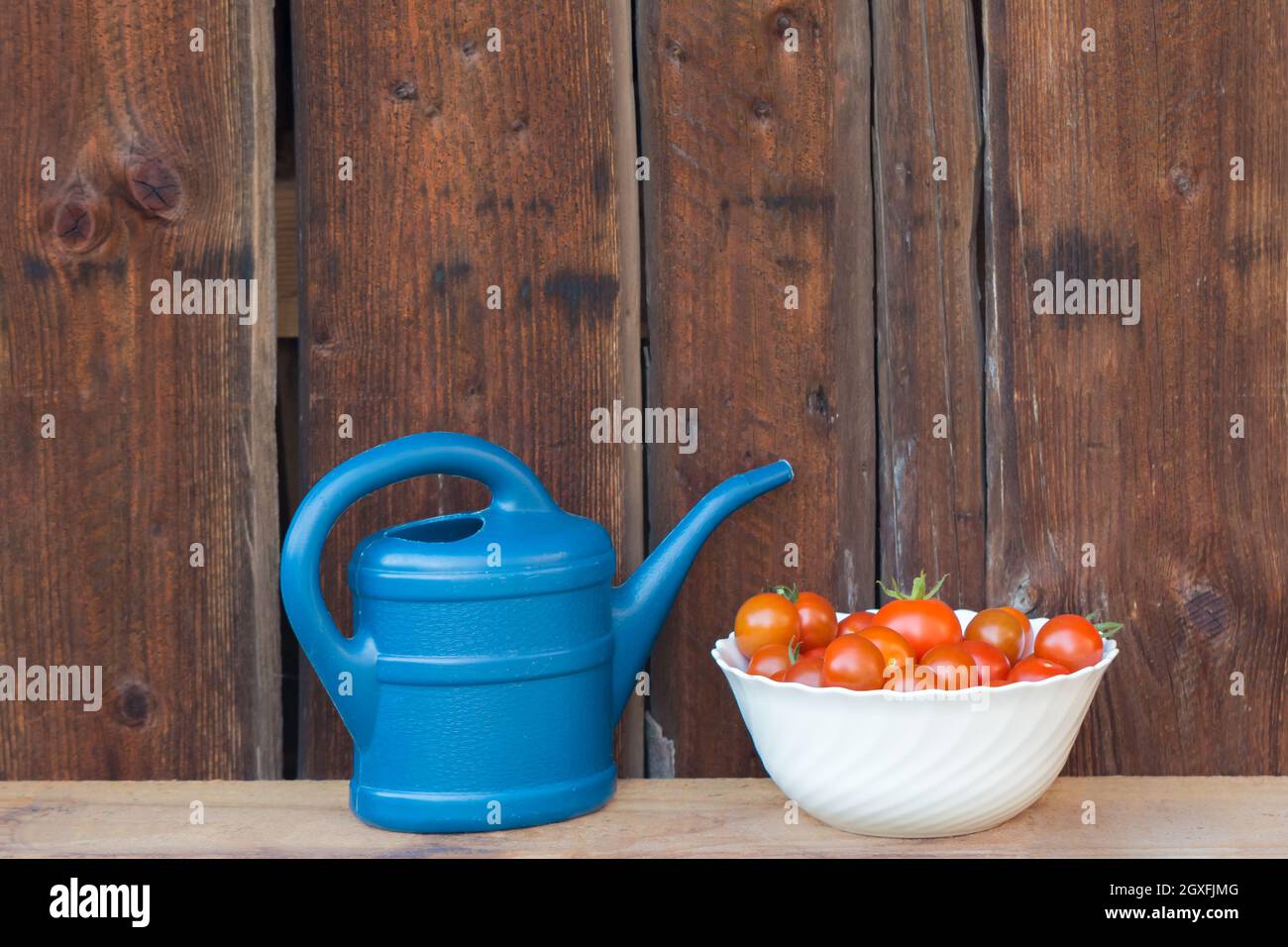 Jardinage de légumes frais et juteux de l'agriculture agricole. Nature biologique solanum bio tomate nourriture sur fond en bois copyspace. Banque D'Images