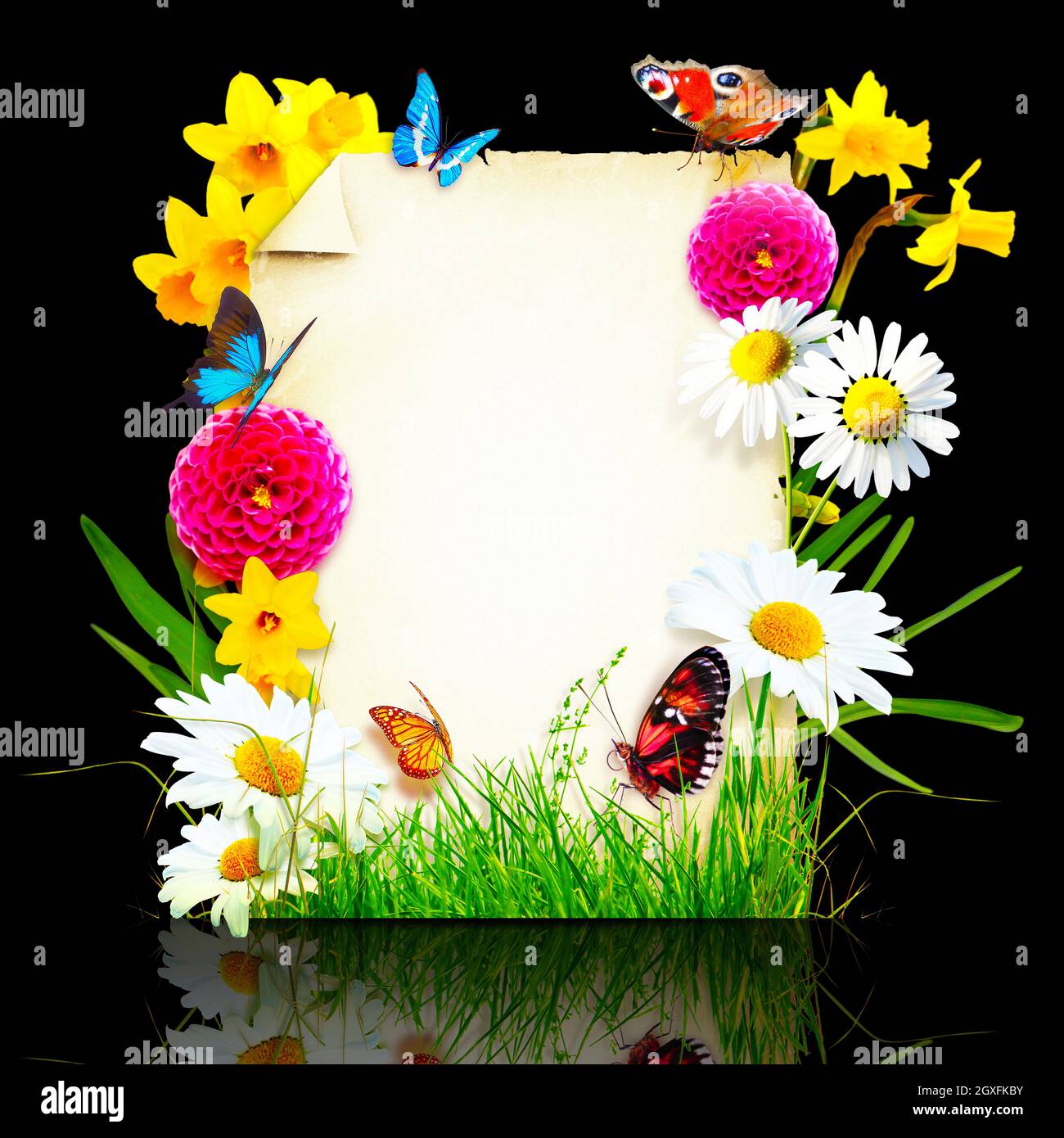 Aménagement créatif avec fleurs et papillons. Concept de printemps minimal. Banque D'Images