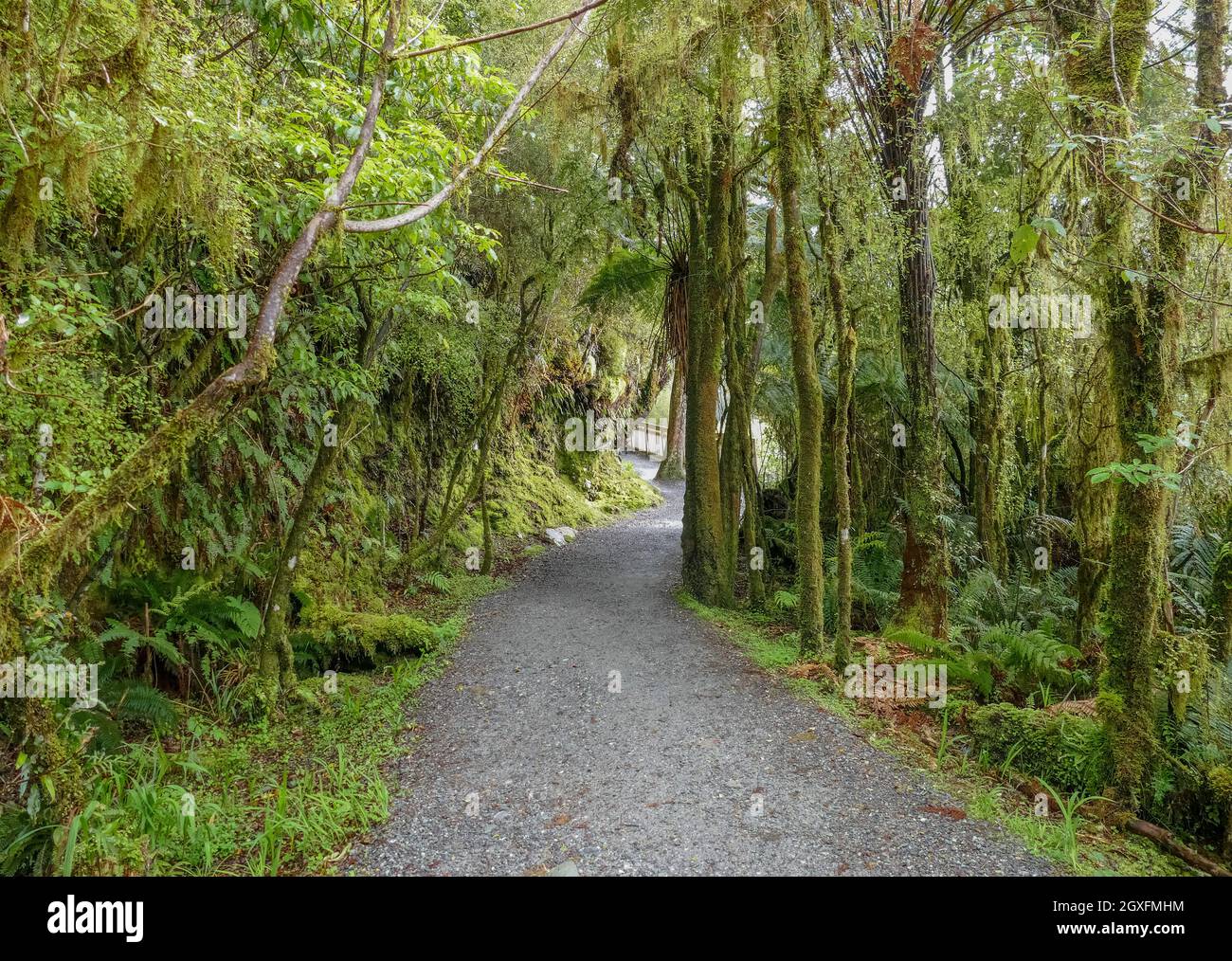 Promenade autour du lac Matheson à South Island à New Zélande Banque D'Images