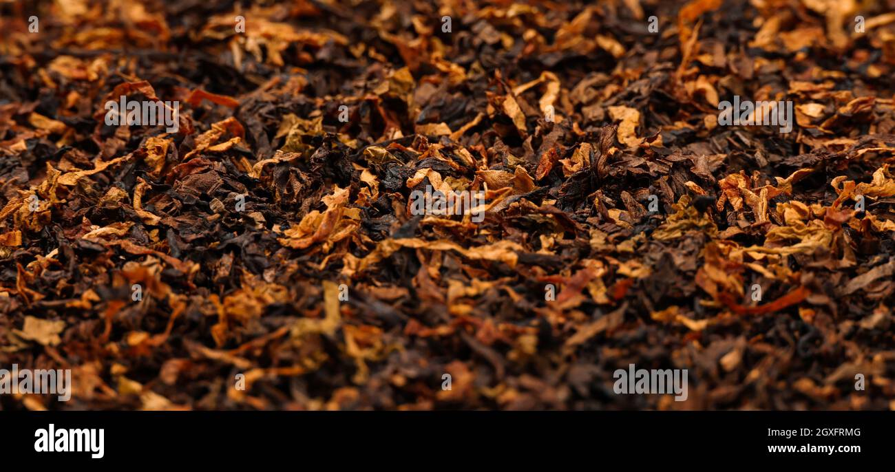 Gros plan sur le mélange de tabac à pipe, long et découpés en gros, prêt à l'emploi, vue en grand angle Banque D'Images
