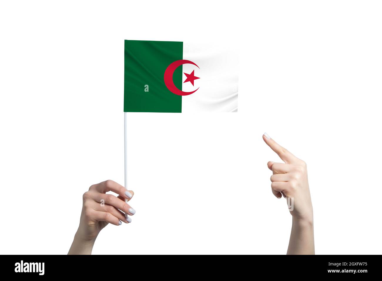 Une belle main féminine porte un drapeau algérien auquel elle montre le  doigt de son autre main, isolé sur fond blanc Photo Stock - Alamy