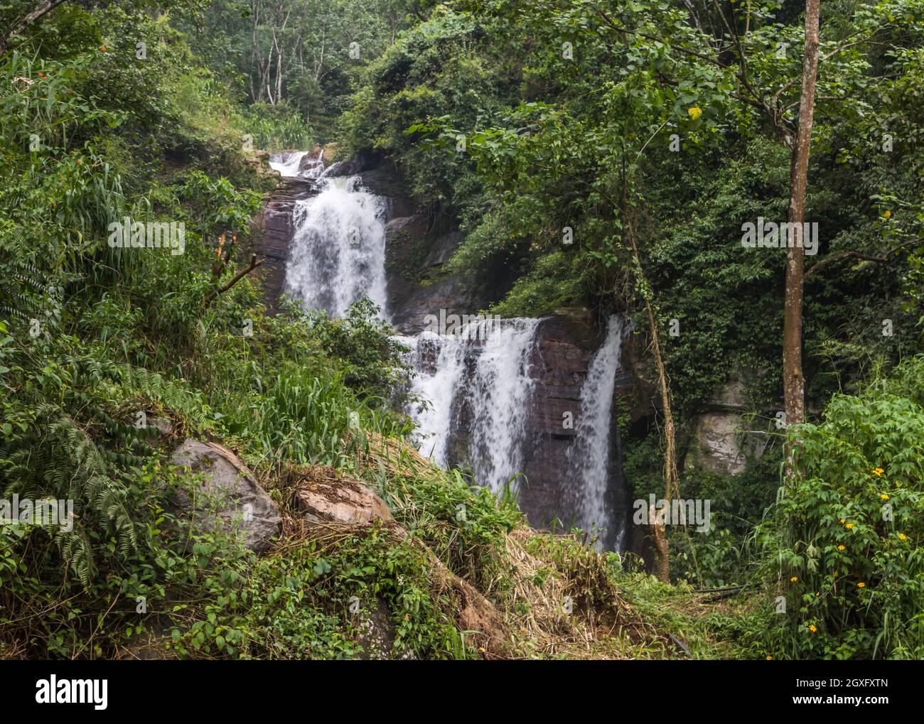 Cascade près du tunnel de Ramboda, Nuwara Eliya, Sri Lanka Banque D'Images