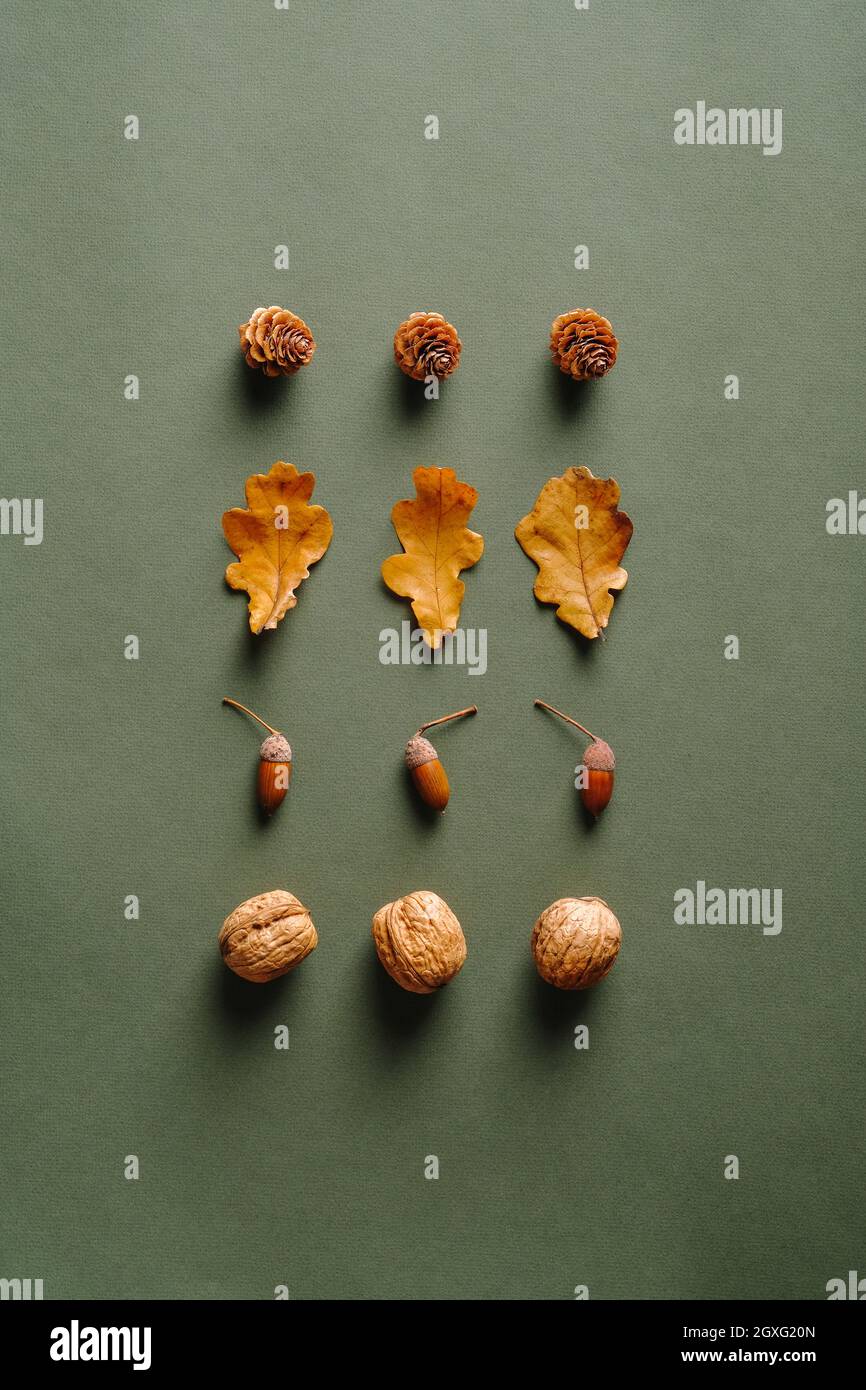 Aménagement créatif avec des cônes de pin, des feuilles de chêne sec, des glands, des noix sur fond vert. Automne, automne concept. Flat lay, vue de dessus. Banque D'Images