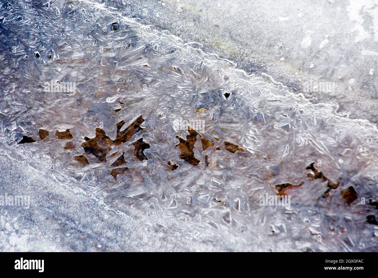 Eiskristale wachsen BEI Dauerfrost von den Ufern über einen kleinen Bach, Nordrhein-Westfalen, Deutschland, Weilerswist Banque D'Images