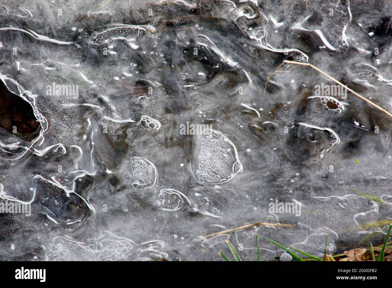 Eiskristale wachsen BEI Dauerfrost von den Ufern über einen kleinen Bach, Nordrhein-Westfalen, Deutschland, Weilerswist Banque D'Images