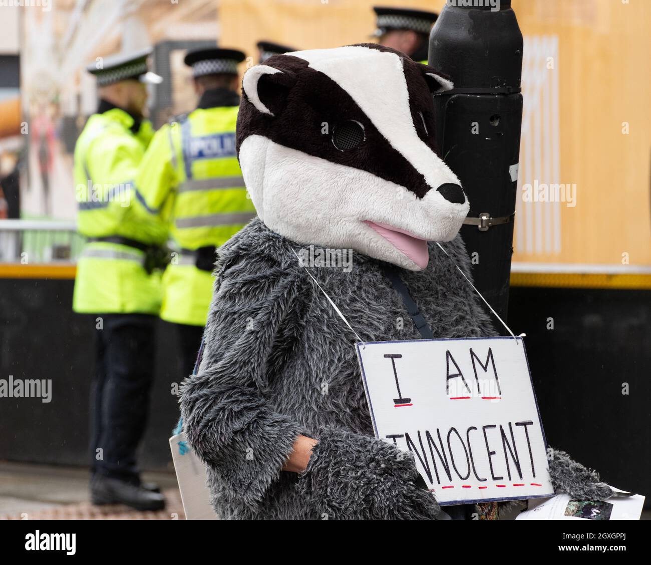 5 octobre 2021, Manchester, Royaume-Uni.Proteststor anti-badger cull à la conférence du parti conservateur . Le parti conservateur tient sa conférence à Machester au Royaume-Uni entre le 3 et le 6 octobre. Crédit : GARY ROBERTS/Alay Live News Banque D'Images