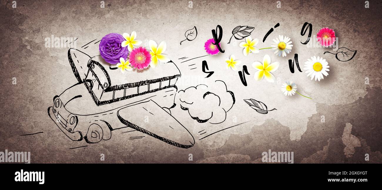 Aménagement créatif avec fleurs et papillons. Concept de printemps minimal. Banque D'Images