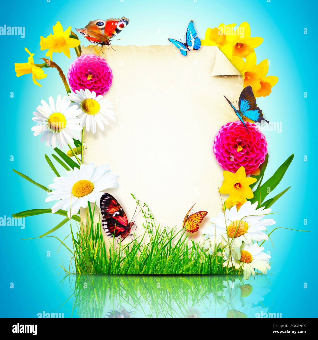 Aménagement créatif avec fleurs et papillons. Concept de printemps minimal. Banque D'Images