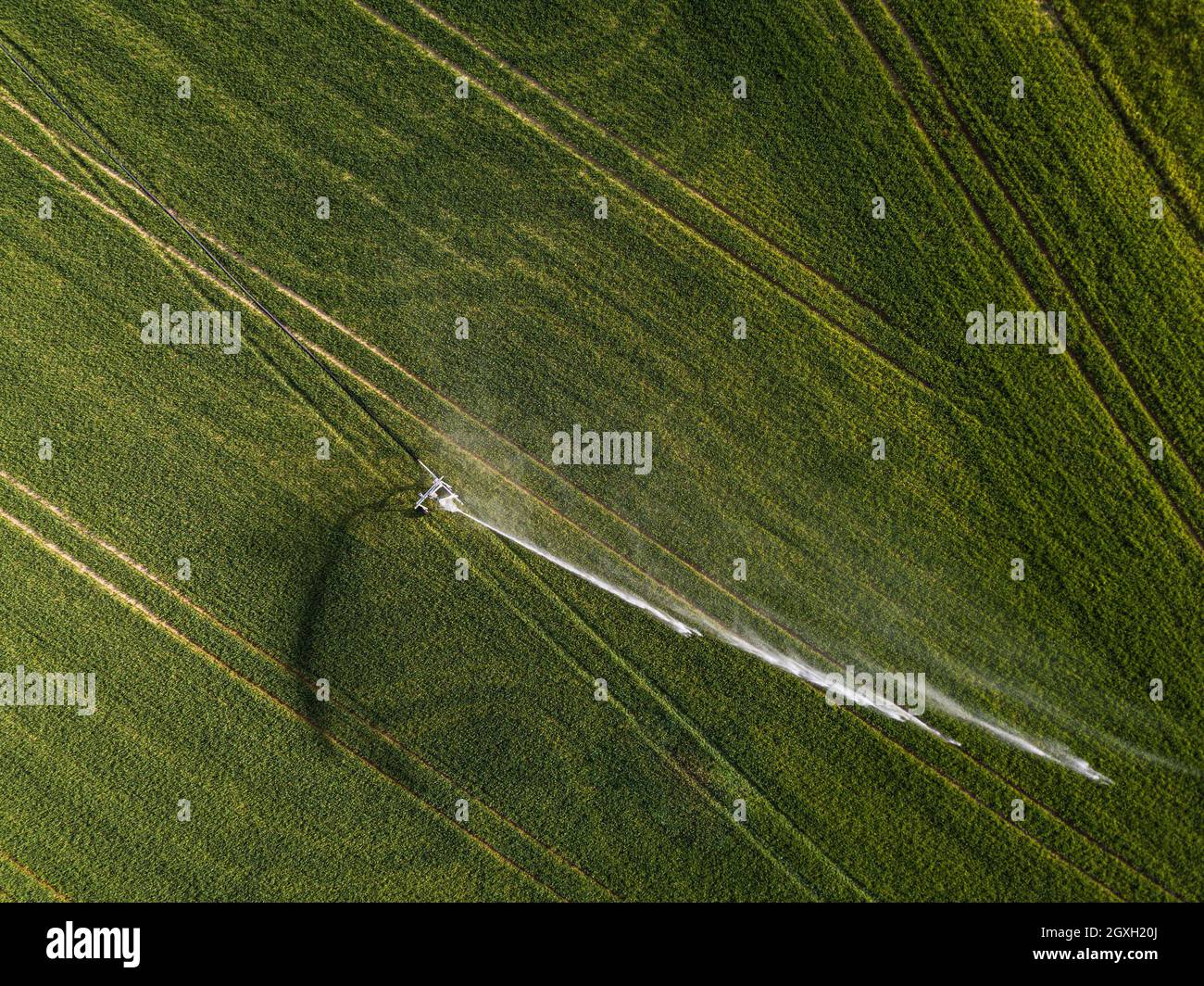 Terres agricoles d'en haut - image aérienne d'un vert luxuriant champ irrigué Banque D'Images