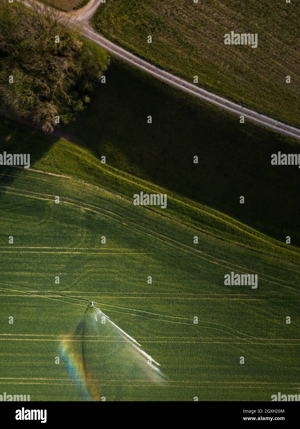 Terres agricoles d'en haut - image aérienne d'un vert luxuriant champ irrigué Banque D'Images