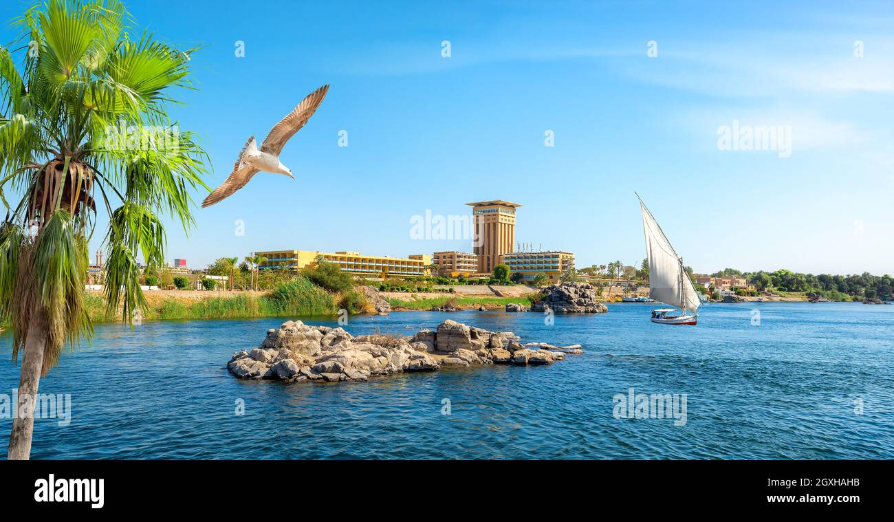 Vue sur la ville d'Assouan sur le Nil en été Banque D'Images
