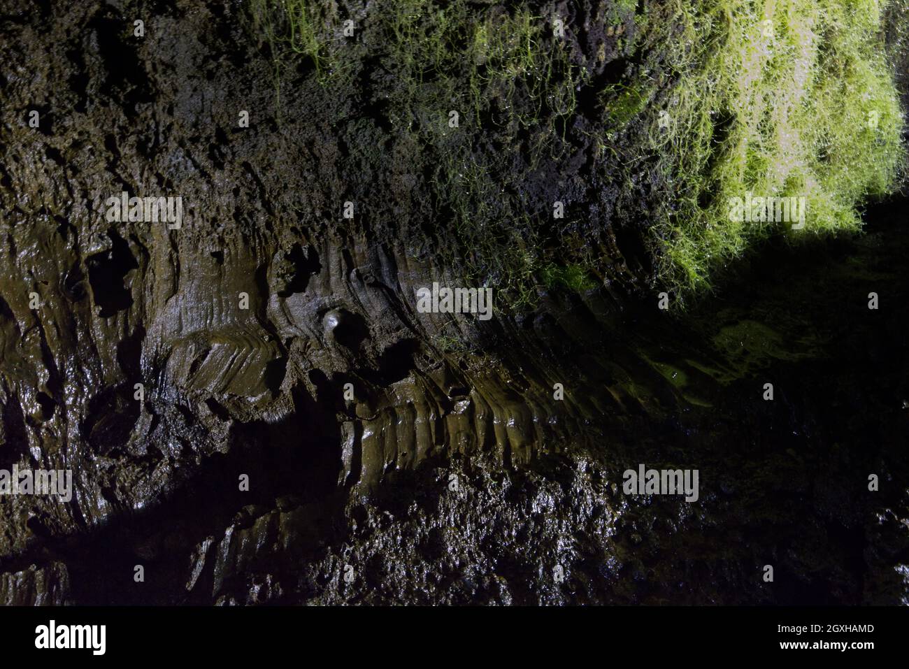 Gruta do Natal, île de Terceira, Açores Banque D'Images