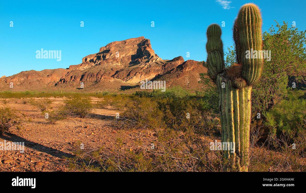 Vue sur Saddleback Mountain depuis le nord-ouest. Cette montagne est située près de Tonopah Arizona. Banque D'Images