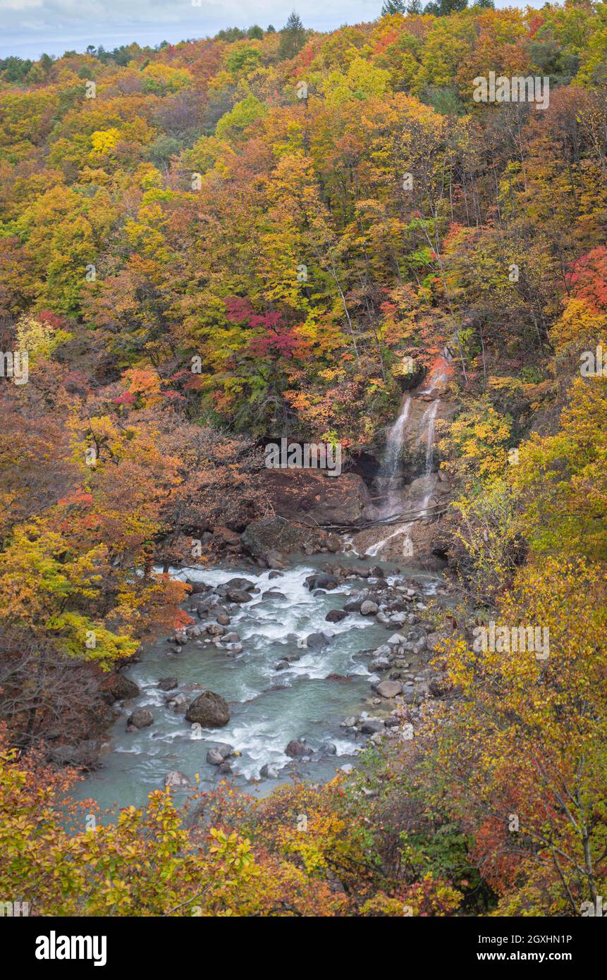 Vue depuis le pont de Mori no Ohashi vers la gorge de la rivière Matsu avec chute d'eau en automne, parc national de Towada-Hachimantai, Iwate, Japon Banque D'Images